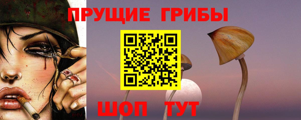 Галлюциногенные грибы мухоморы  Вход с VPN  Тамбов 