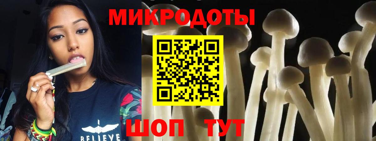 Псилоцибиновые грибы Psilocybine cubensis Тамбов